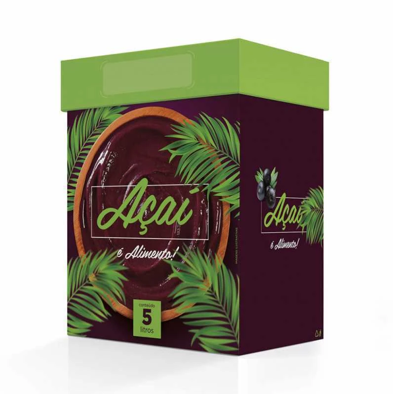 caixa para sorvete 5 litros
